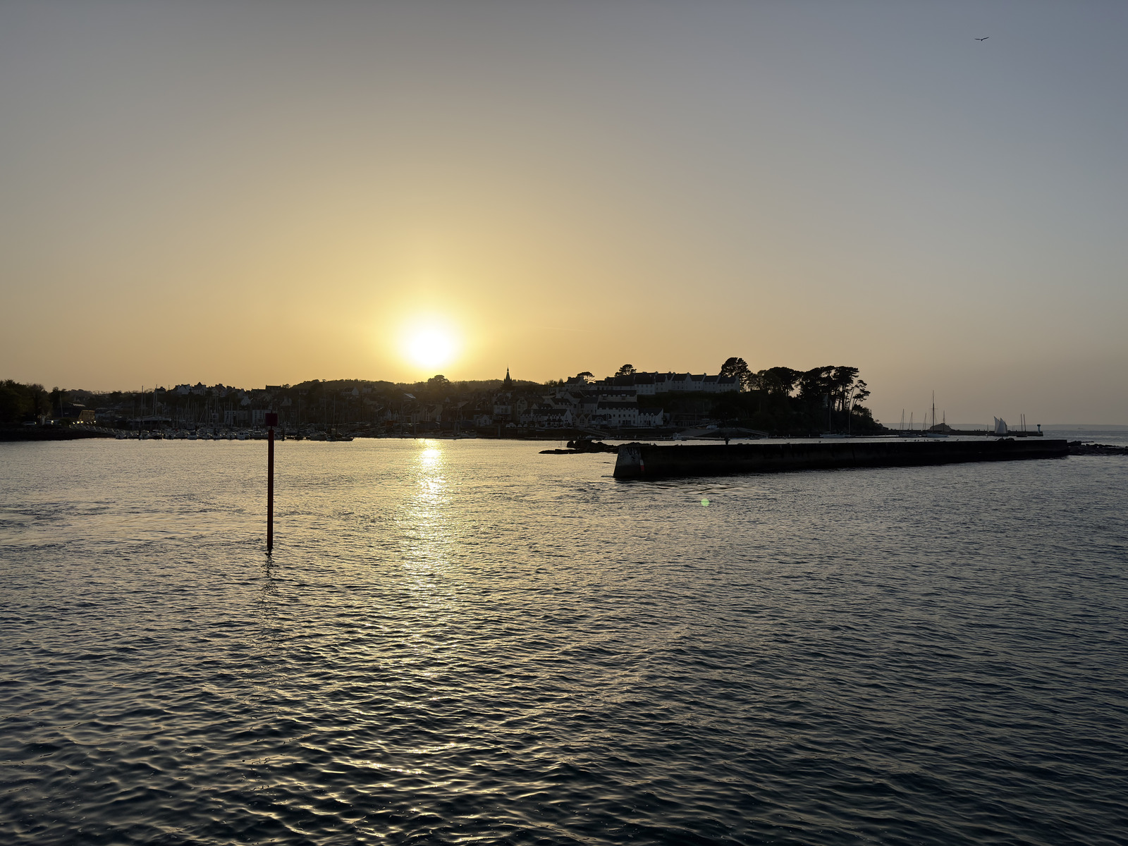 照片 法国(France) 杜阿尔纳纳(Douarnenez) 2026-04 4