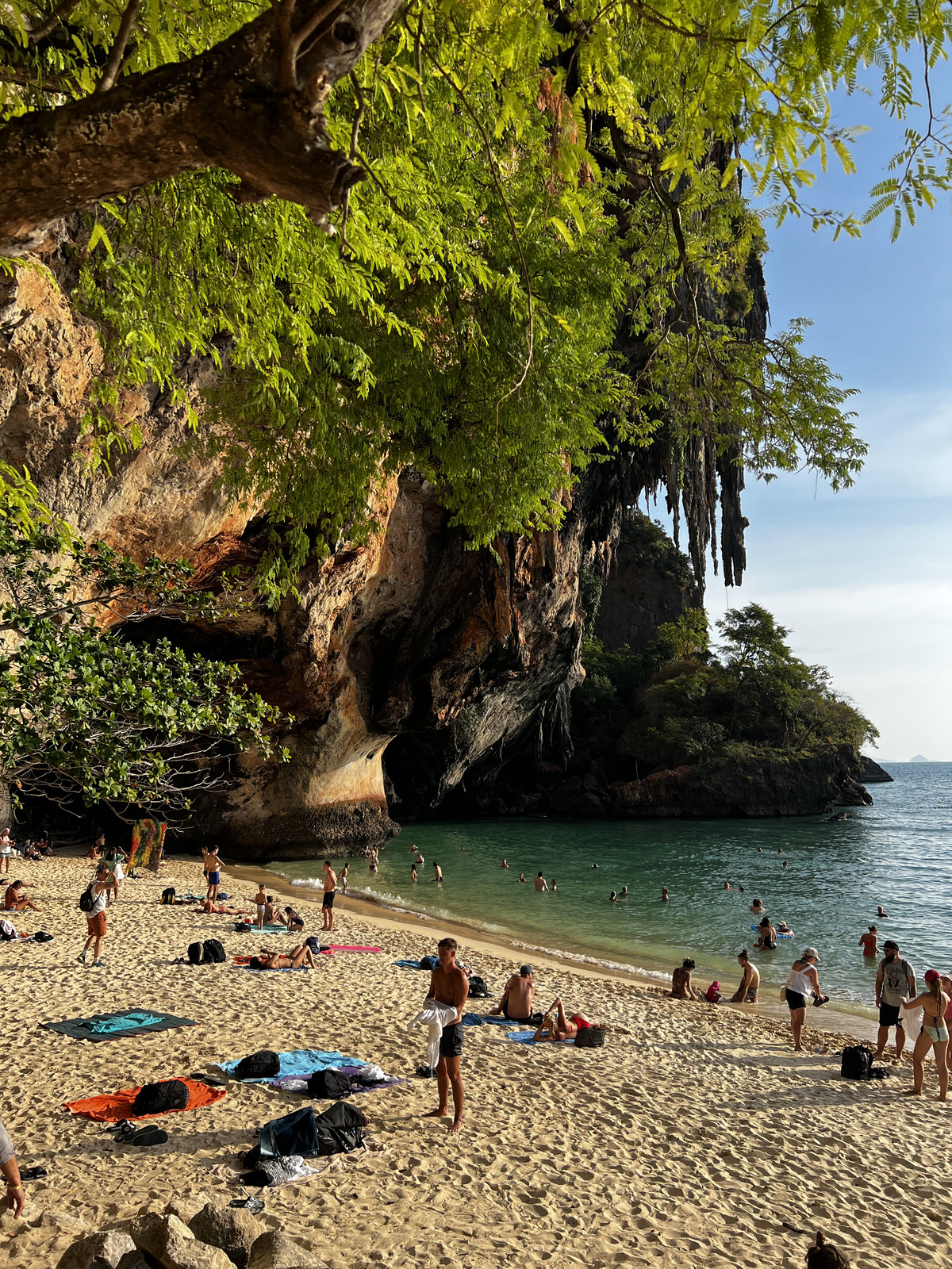 照片 泰国(Thailand) 甲米(Krabi) 2023-01 173