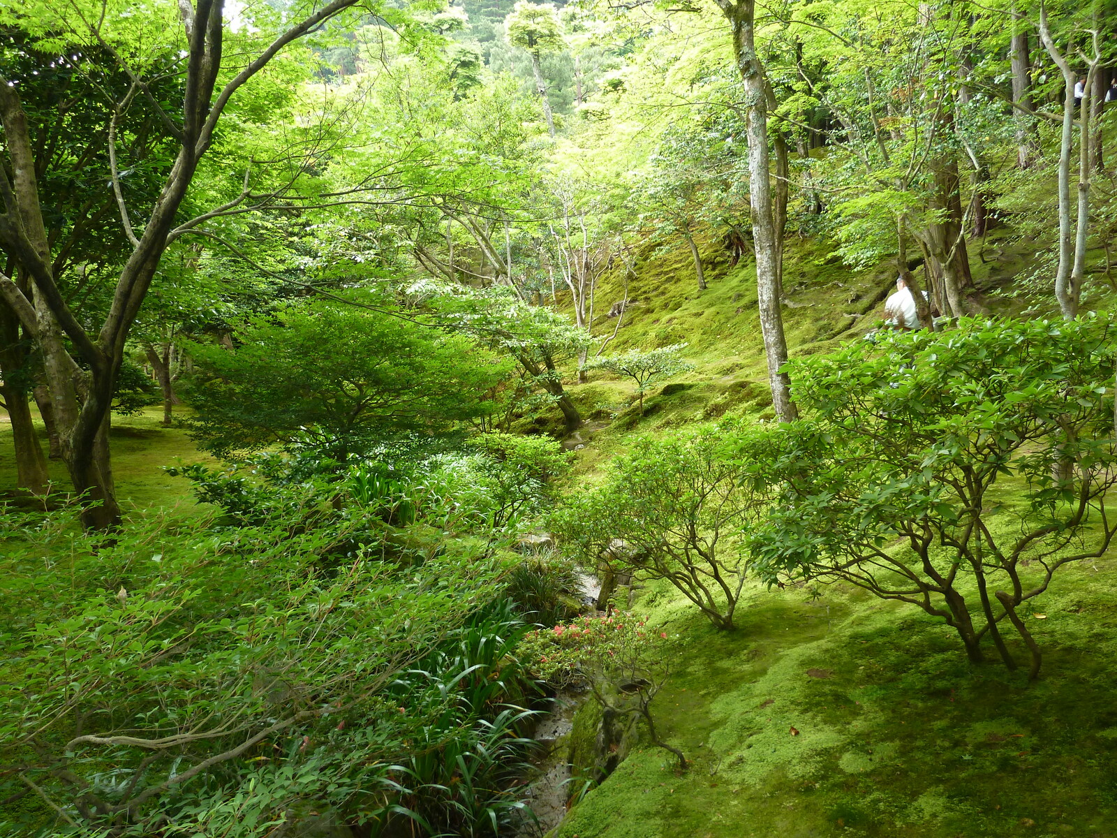 照片 日本(Japan) 京都(Kyoto) 银阁寺(Ginkakuji Temple(Silver Pavilion)) 2010-06 84