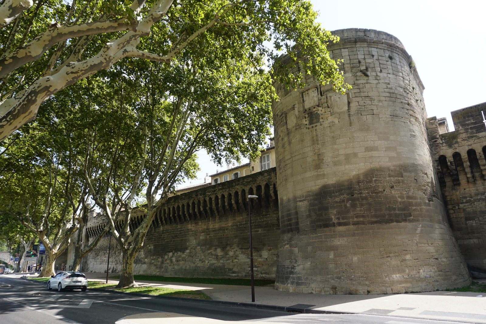 照片 法国(France) 阿维尼翁(Avignon) 2017-08 0