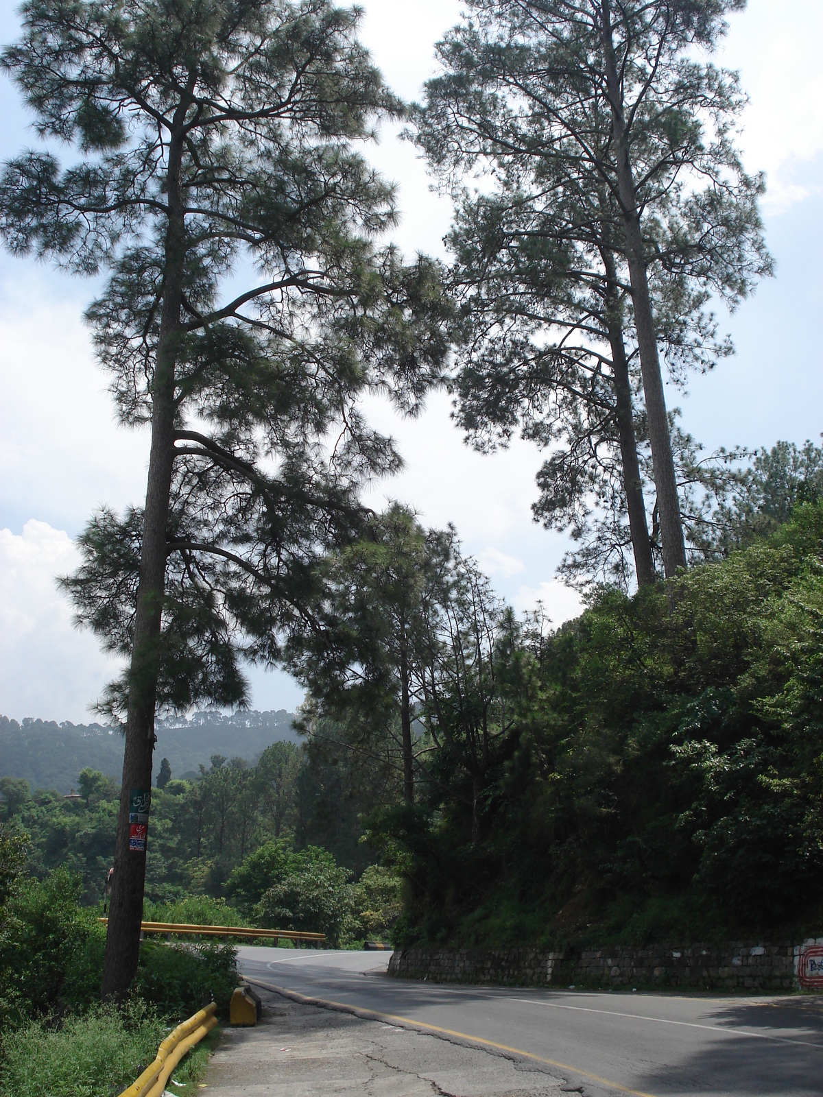 照片 巴基斯坦(Pakistan) 伊斯兰堡至穆里公路(Islamabad to Murree road) 2006-08 47