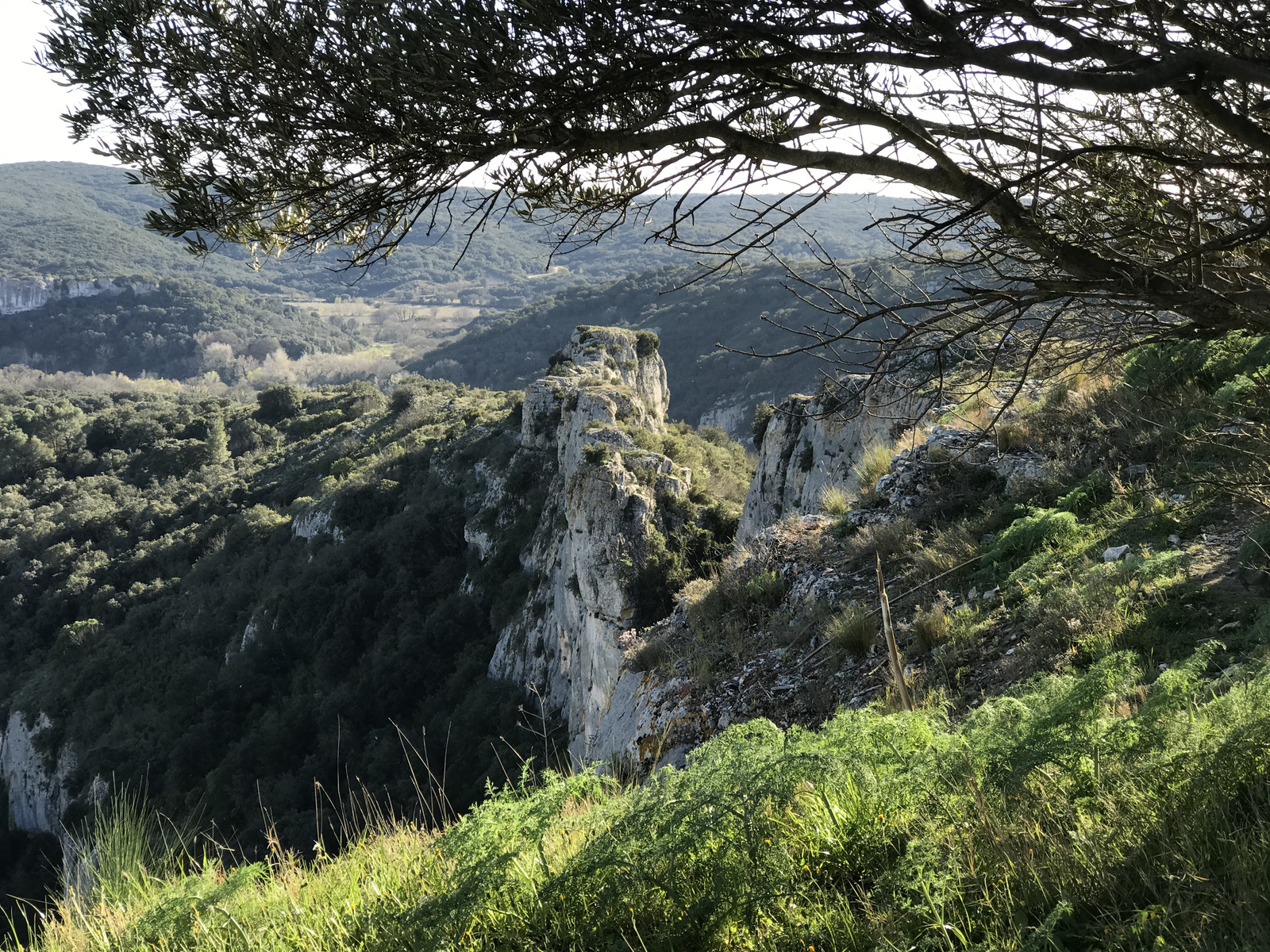 照片 法国(France) 尼姆(Nimes) 2021-05 40