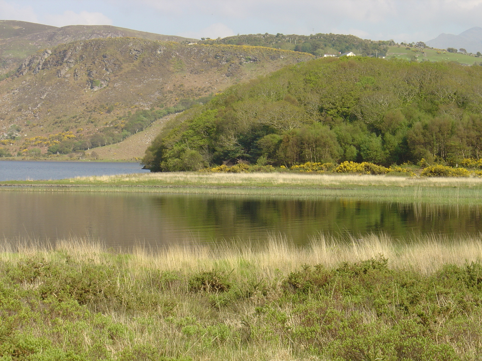 照片 爱尔兰(Ireland) 凯里郡(Kerry) 卡拉湖(Caragh Lake) 2004-05 1