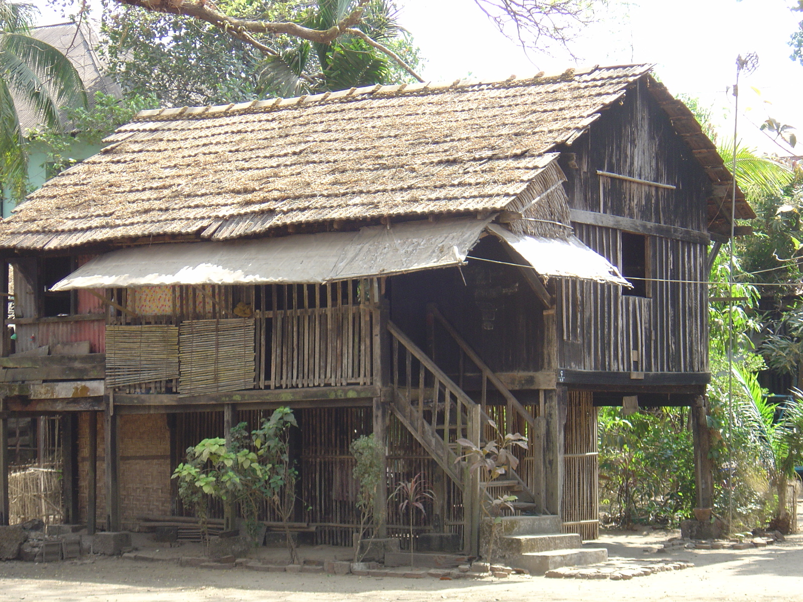 照片 缅甸(Myanmar) 土瓦(Dawei (TAVOY)) 2005-01 147