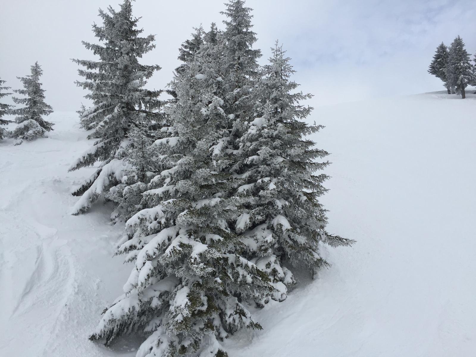照片 法国(France) 梅杰夫(Megeve) 2016-02 93