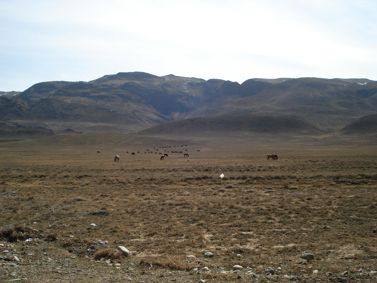 照片 哈萨克斯坦(Kazakhstan) 阿拉木图至恰伦峡谷公路(Almaty to Charyn Canyon road) 2007-03 73