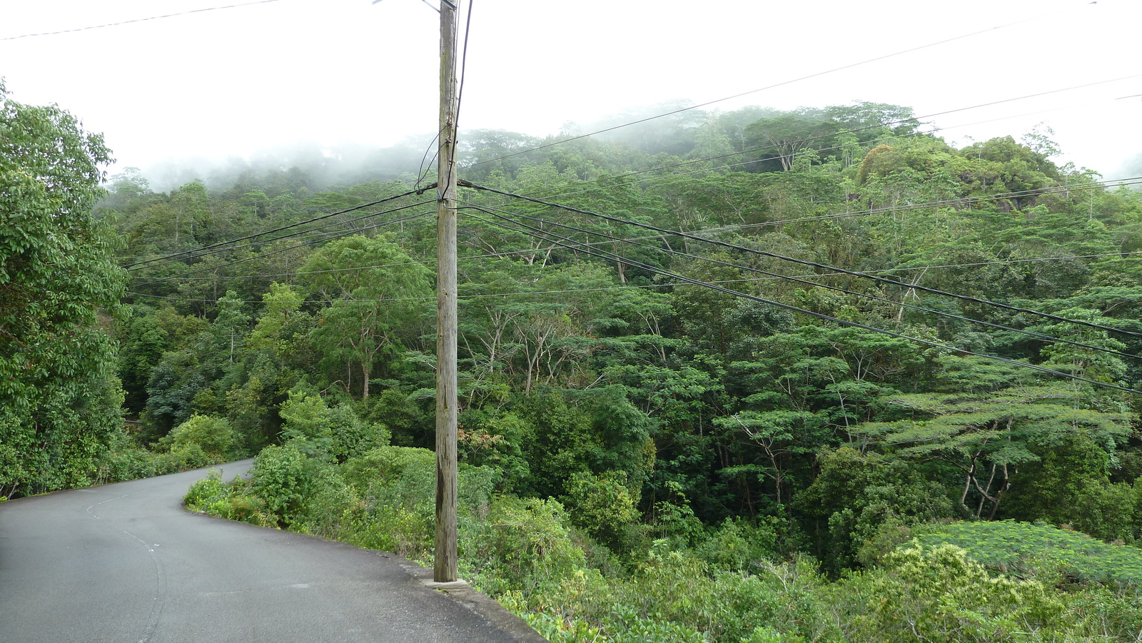 照片 塞舌尔(Seychelles) 马埃岛(Mahe) 2011-10 93