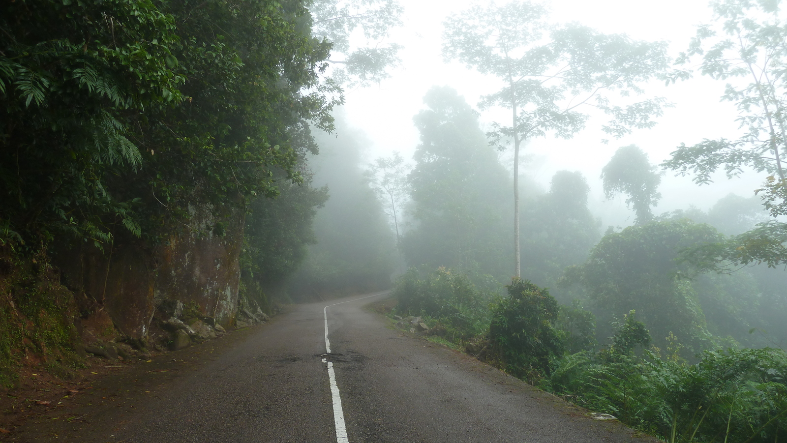 照片 塞舌尔(Seychelles) 马埃岛(Mahe) 2011-10 118