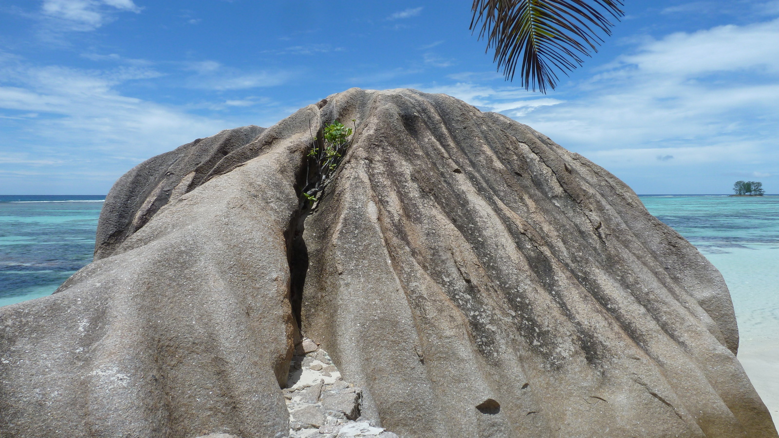 照片 塞舌尔(Seychelles) 拉迪格岛(La Digue) 2011-10 224