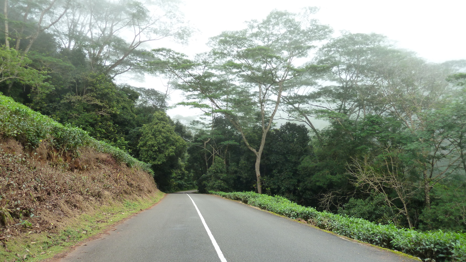 照片 塞舌尔(Seychelles) 马埃岛(Mahe) 2011-10 105