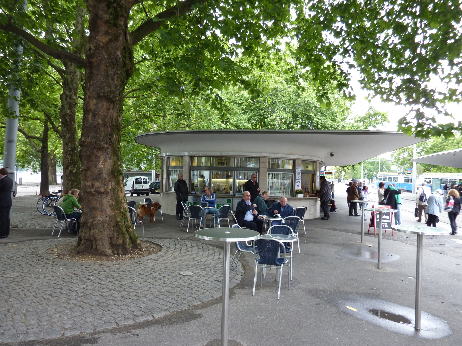 照片 瑞士(Switzerland) 苏黎世(Zurich) 2009-06 38