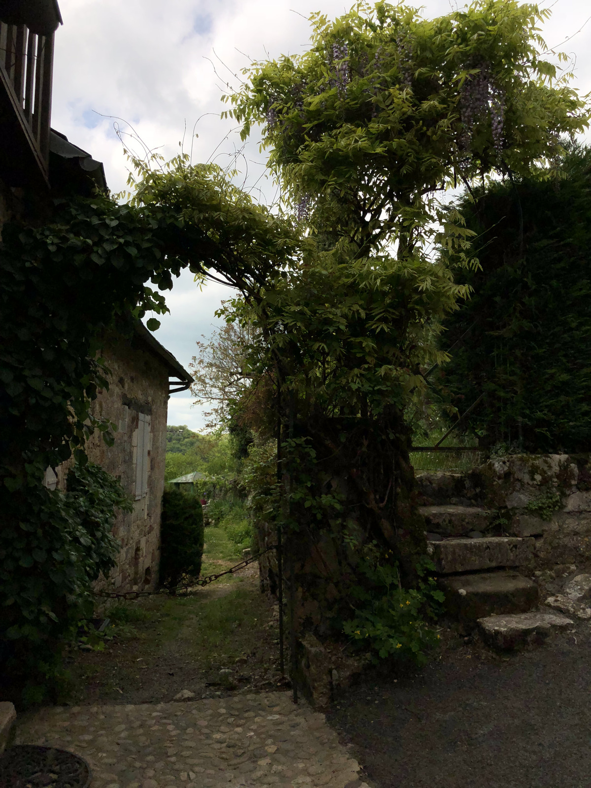 照片 法国(France) 蒂雷讷(Turenne) 2018-04 100