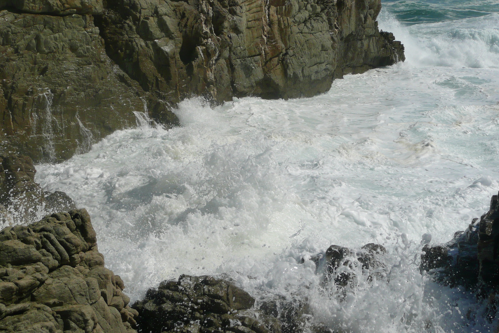 照片 南非(South Africa) 齐齐卡马国家公园(Tsitsikamma National Park) 2008-09 172