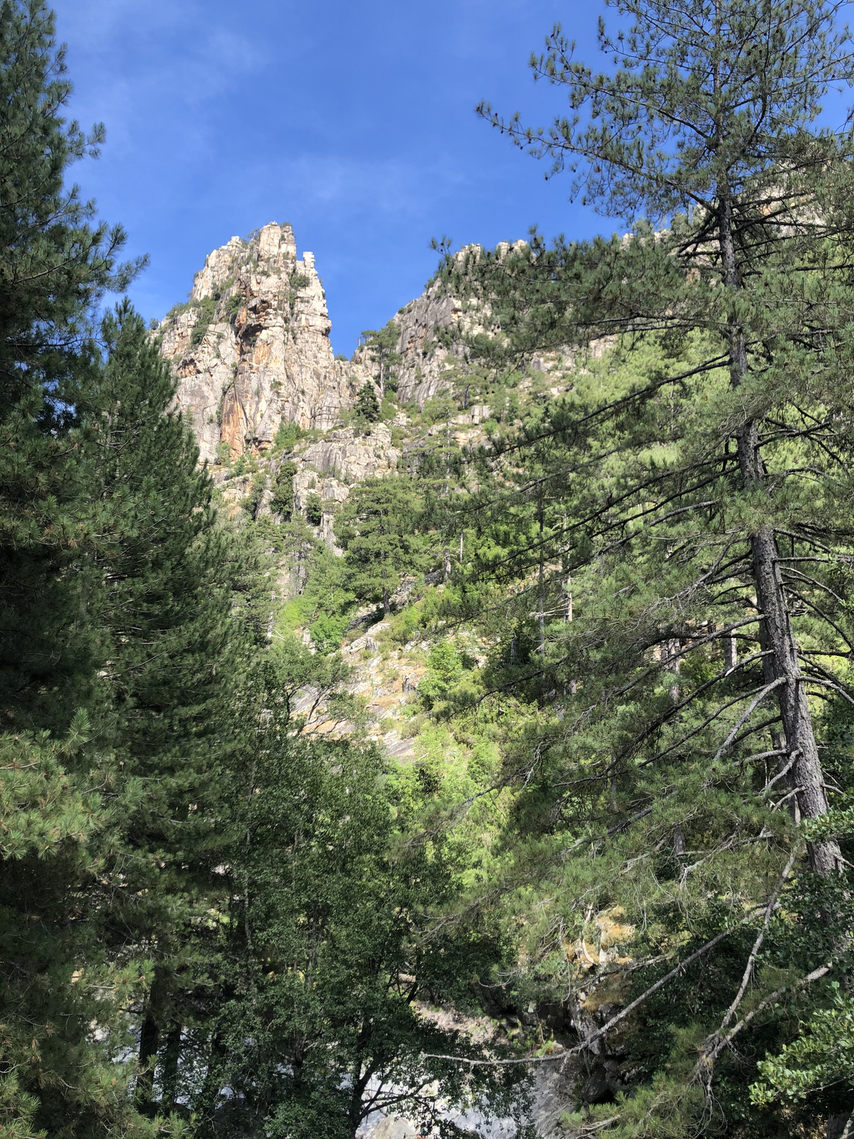 照片 法国(France) 科西嘉岛(Corsica) 雷斯托尼卡山谷(La Restonica) 2020-07 87