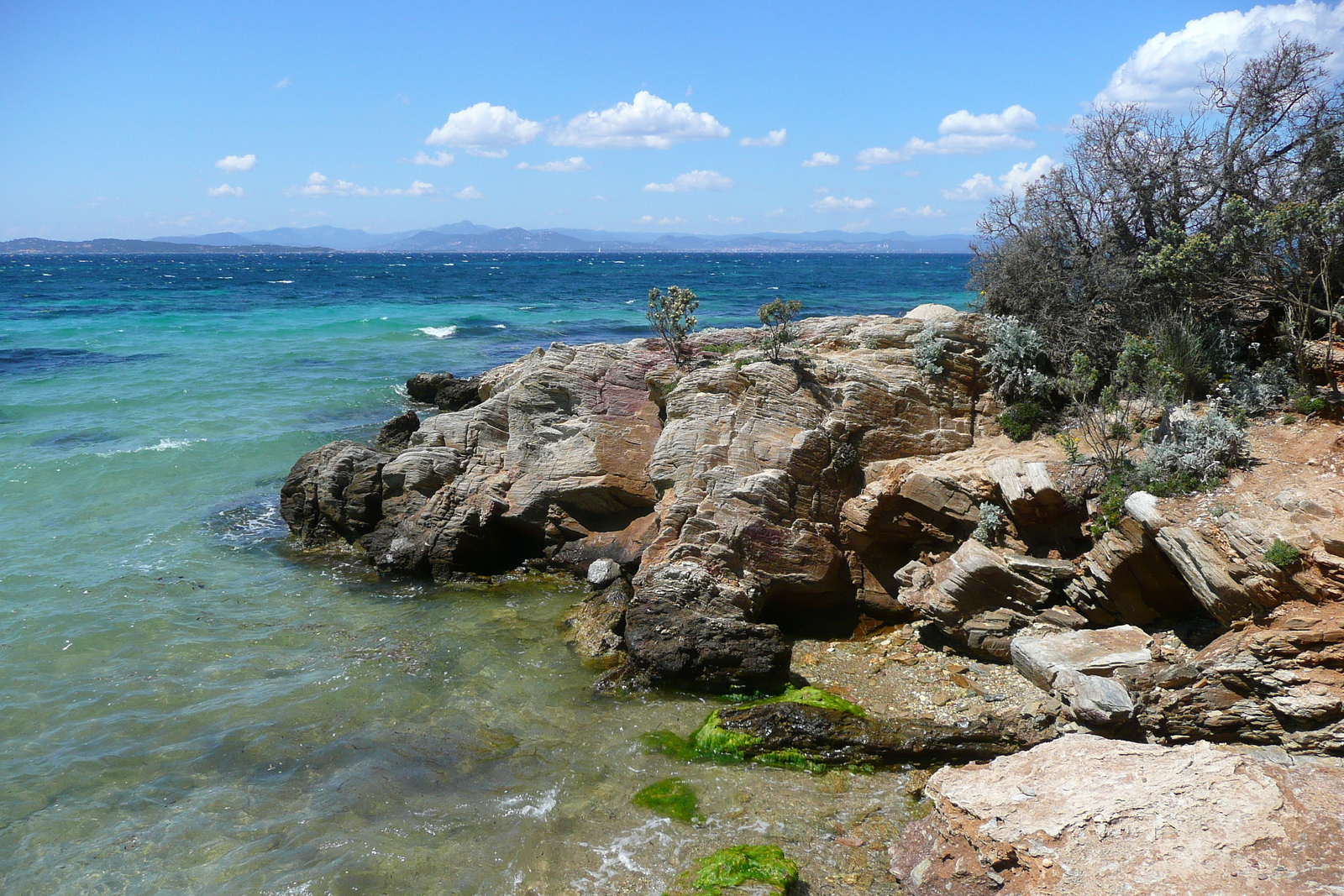 照片 法国(France) 波克罗勒岛(Porquerolles Island) 库尔塔德海滩(Courtade beach) 2008-05 59