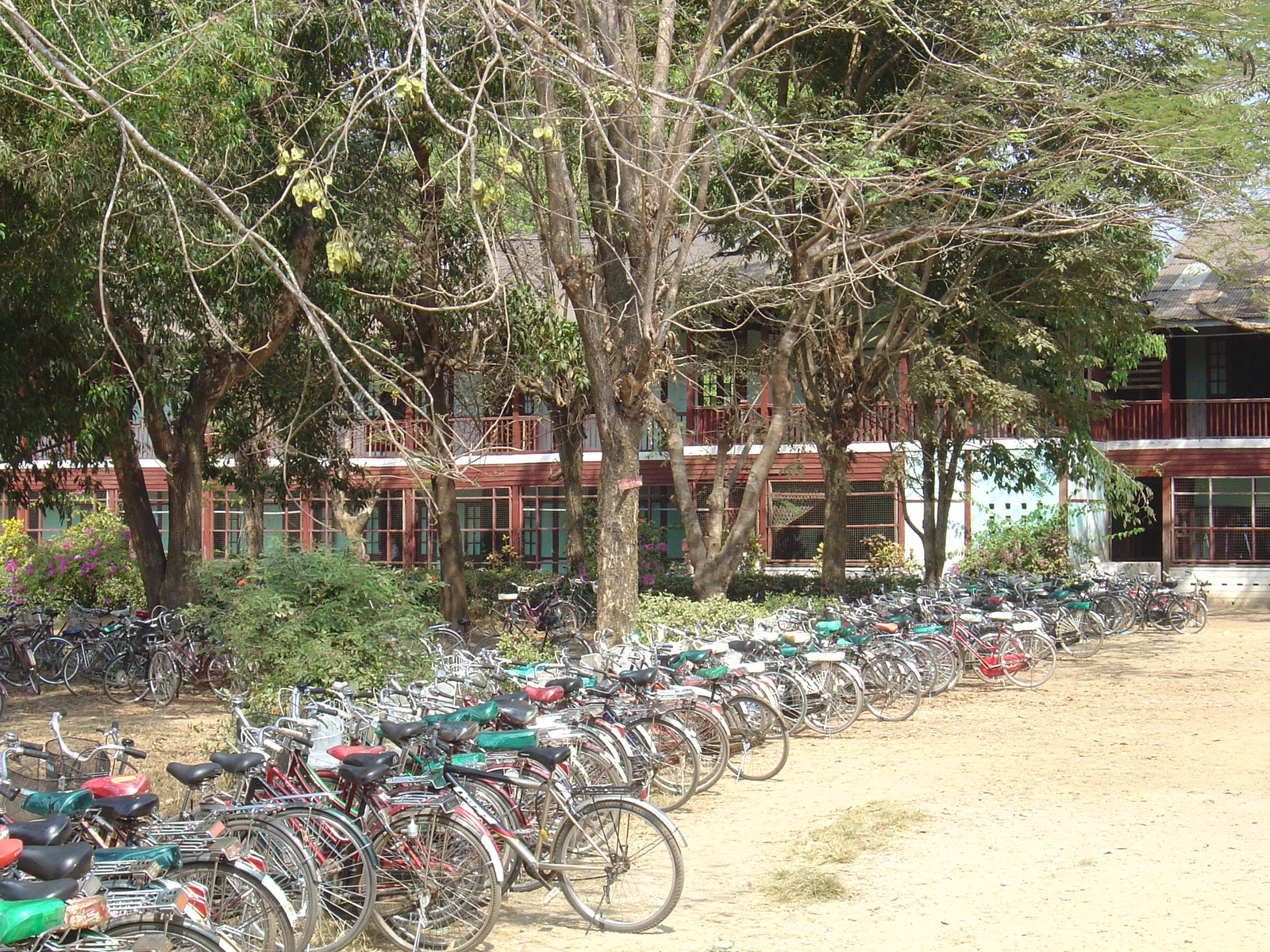 照片 缅甸(Myanmar) 土瓦(Dawei (TAVOY)) 2005-01 13