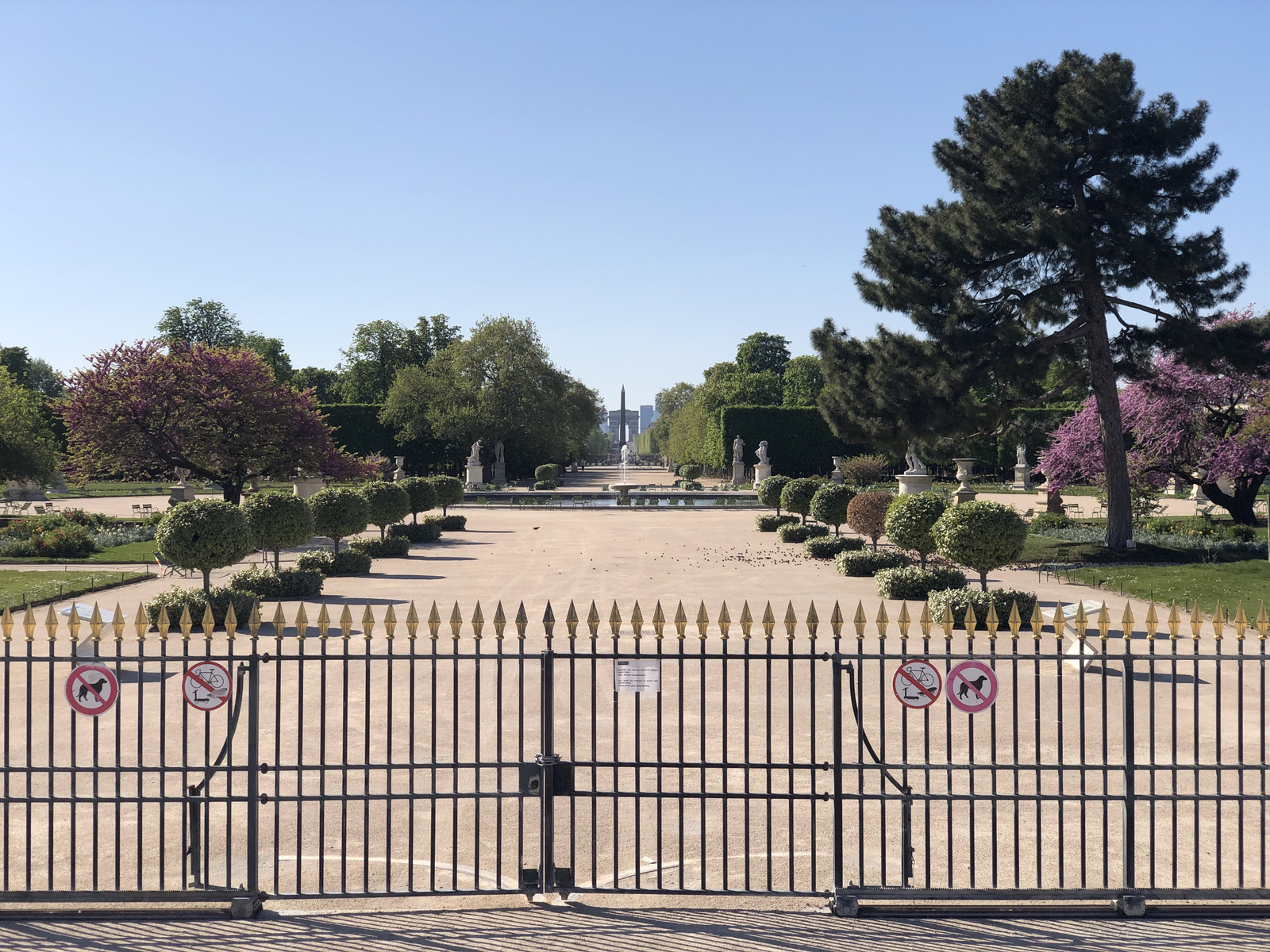 照片 法国(France) 封城中的巴黎(Paris lockdown) 2020-04 175