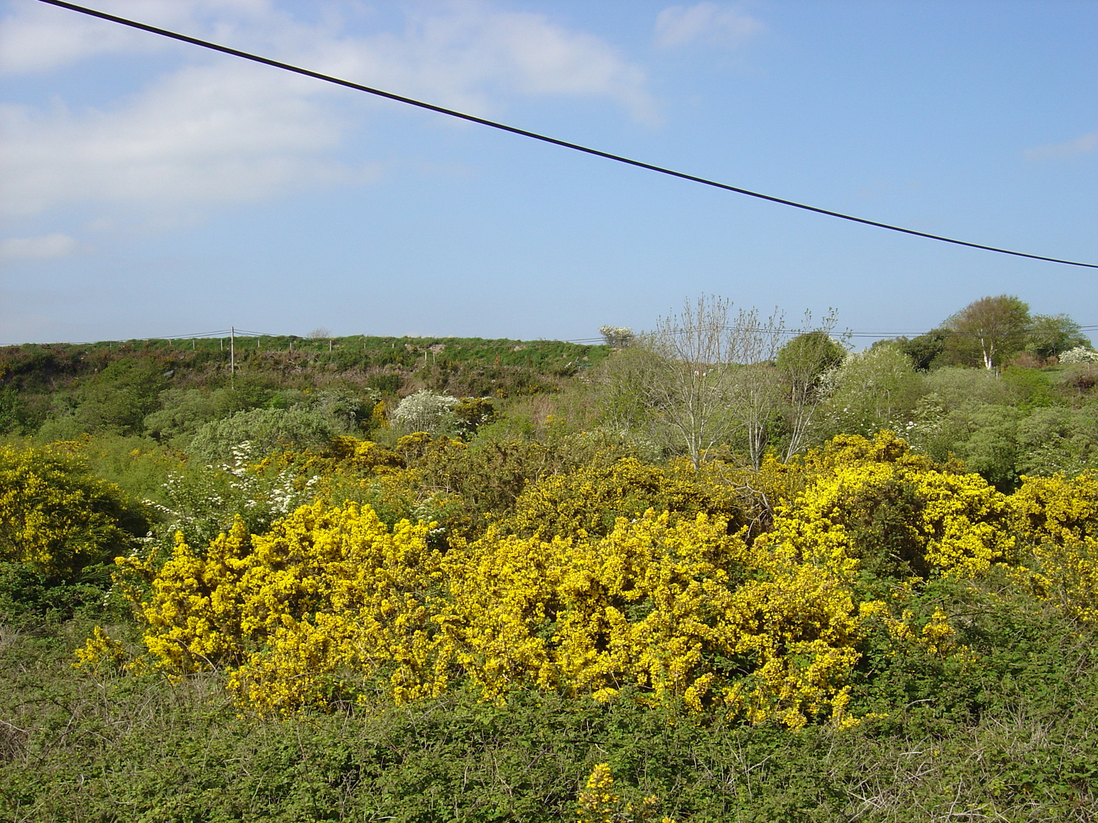 照片 爱尔兰(Ireland) 凯里郡(Kerry) 卡拉湖(Caragh Lake) 2004-05 27