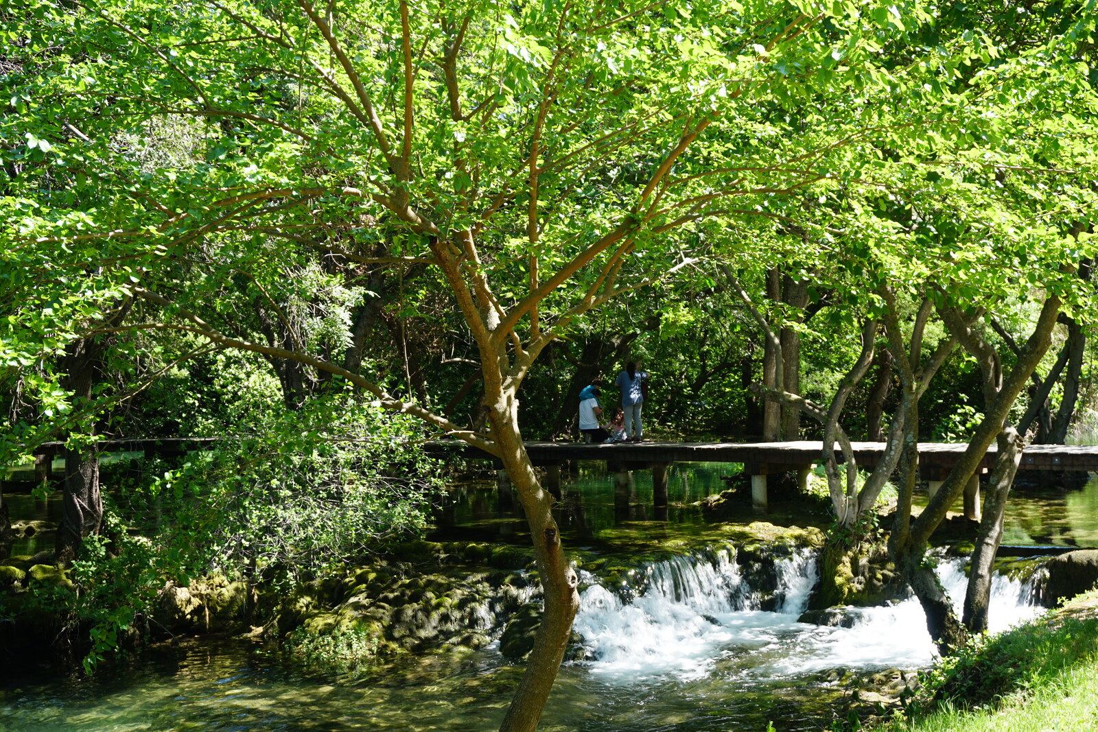 照片 克罗地亚(Croatia) 克尔卡国家公园(Krka National Park) 2016-04 169