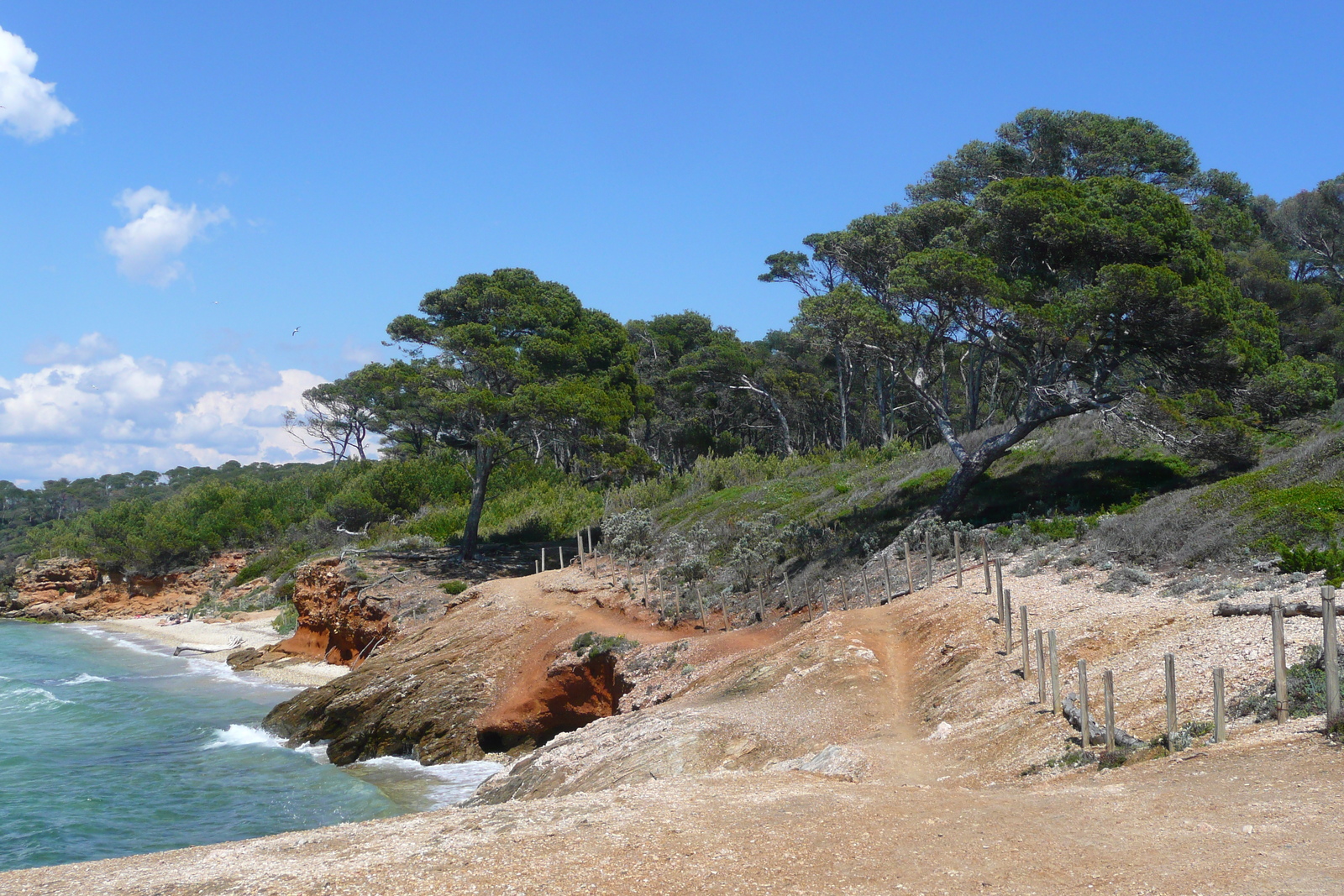照片 法国(France) 波克罗勒岛(Porquerolles Island) 库尔塔德海滩(Courtade beach) 2008-05 11