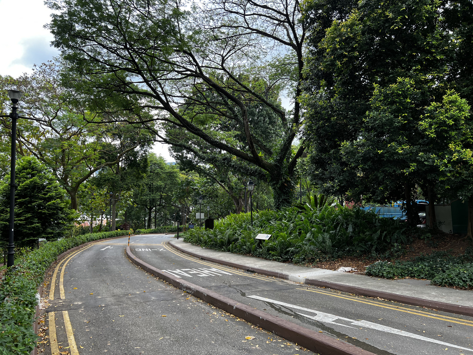 照片 新加坡(Singapore) 福康宁公园(Fort Canning Park) 2023-01 14