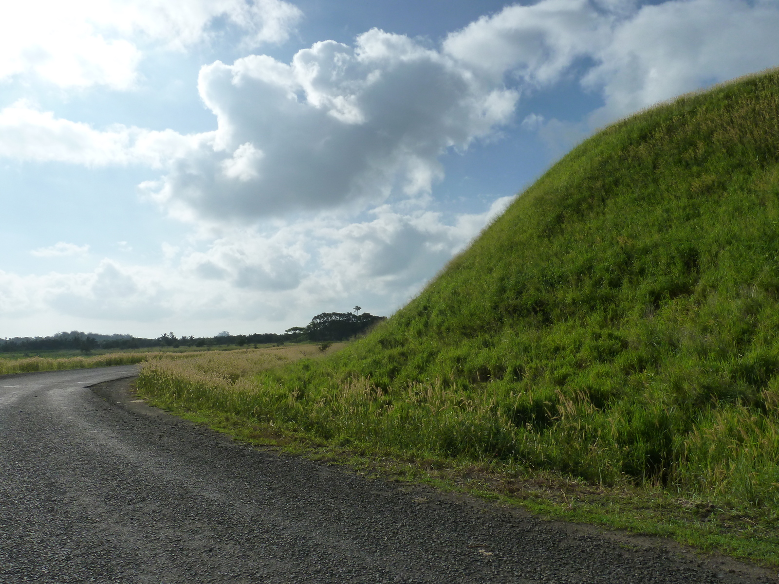 照片 斐济(Fiji) 楠迪至纳塔多拉公路(Nadi to Natadola road) 2010-05 35
