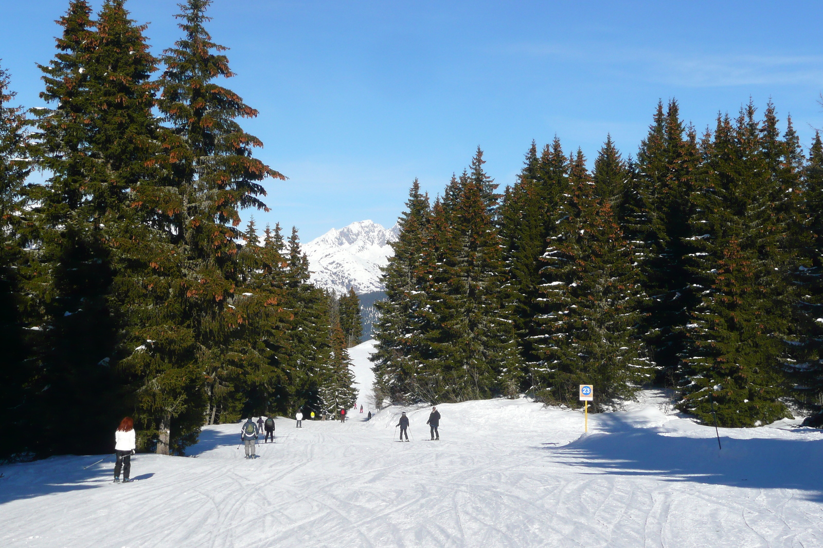 照片 法国(France) 梅杰夫(Megeve) 阿尔布瓦山(Mont d'Arbois) 2010-02 189