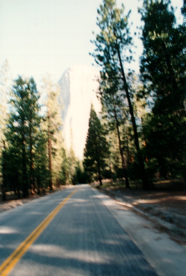 照片 美国(United States) 优胜美地国家公园(Yosemite National Park) 1992-08 11