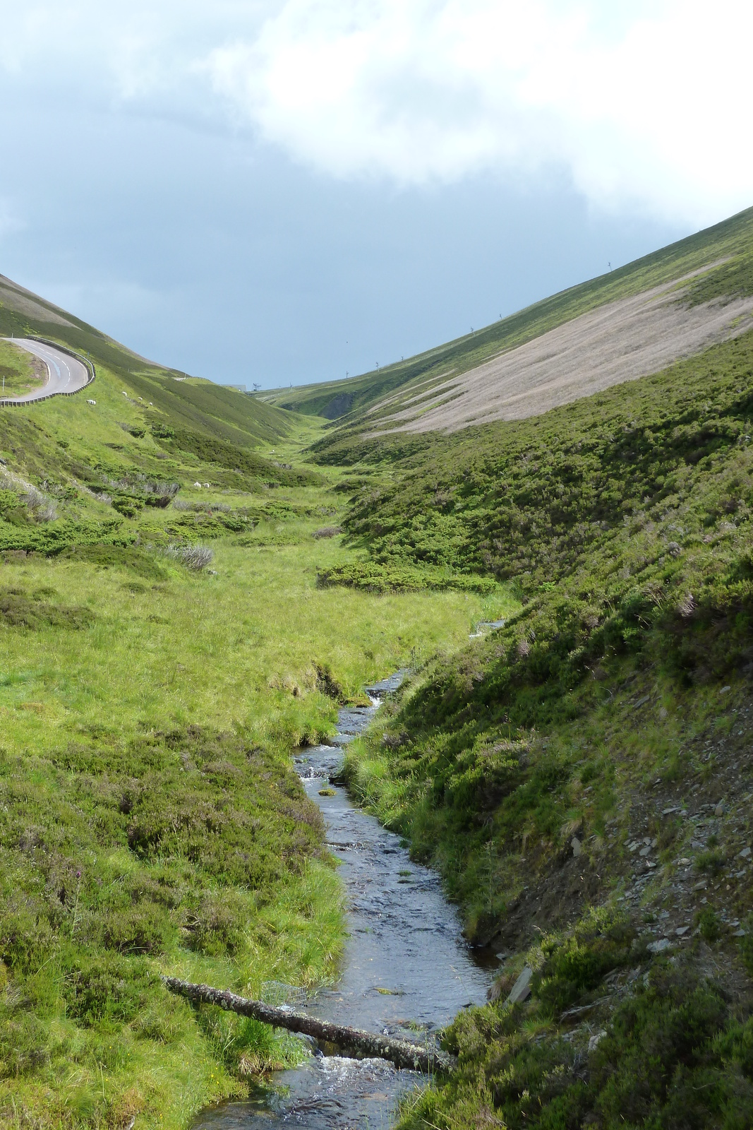 照片 英国(United Kingdom) 凯恩戈姆山国家公园(Cairngorms National Park) 2011-07 29