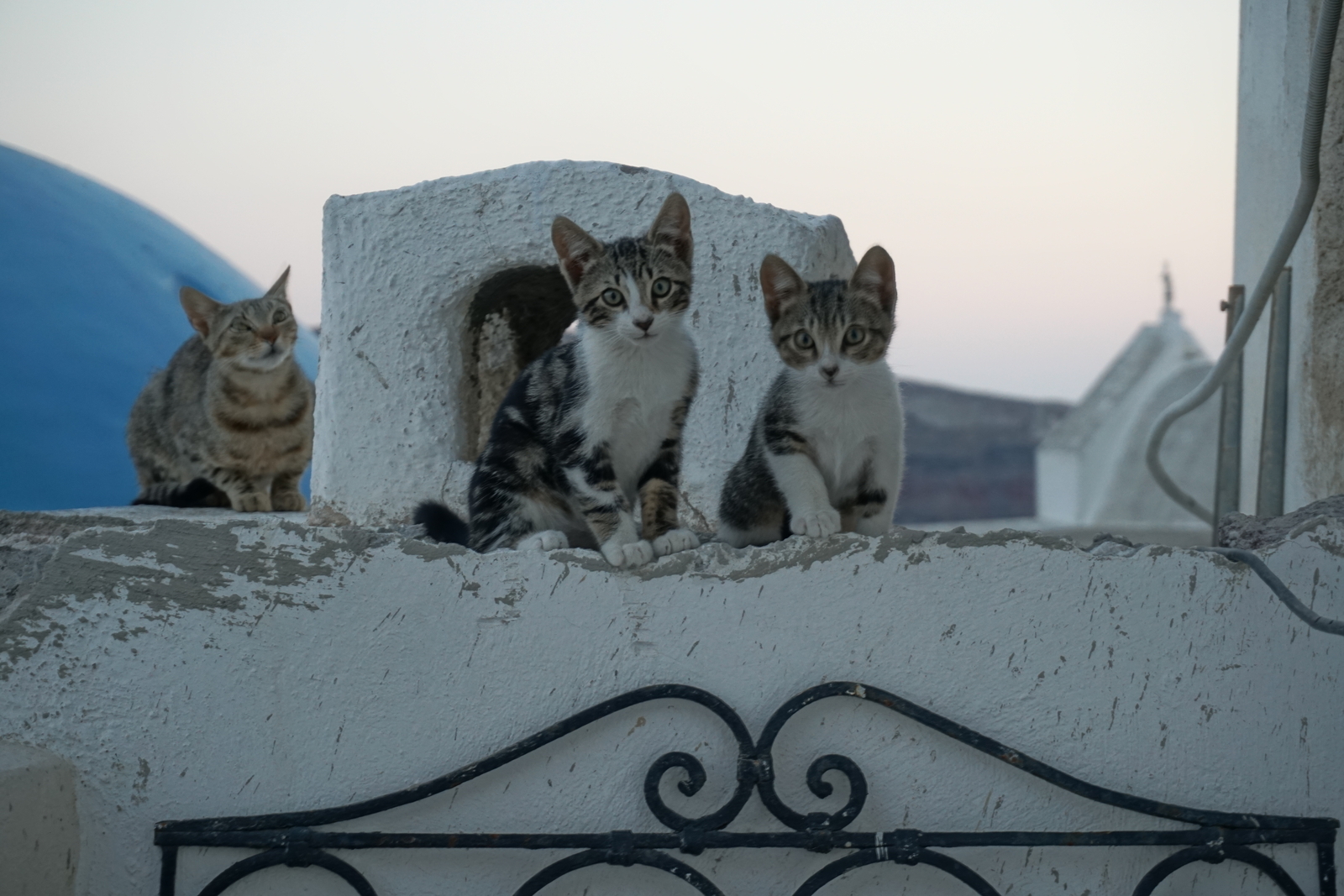 照片 希腊(Greece) 圣托里尼岛(Santorini) 伊亚洞穴屋(Oia cave house) 2016-07 9