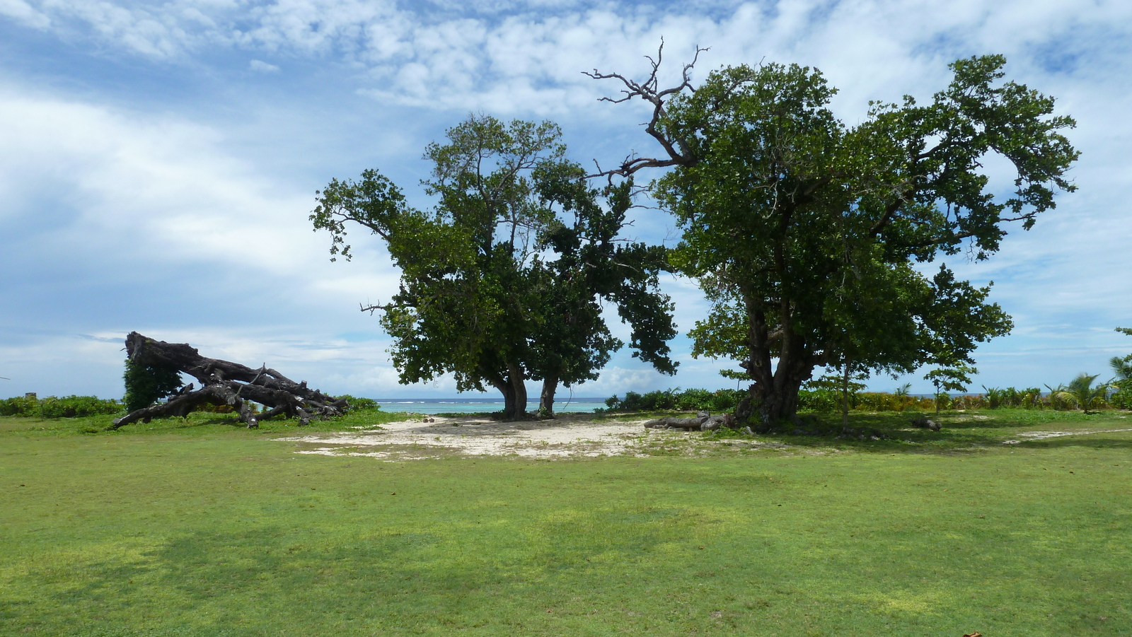 照片 塞舌尔(Seychelles) 2011-10 113