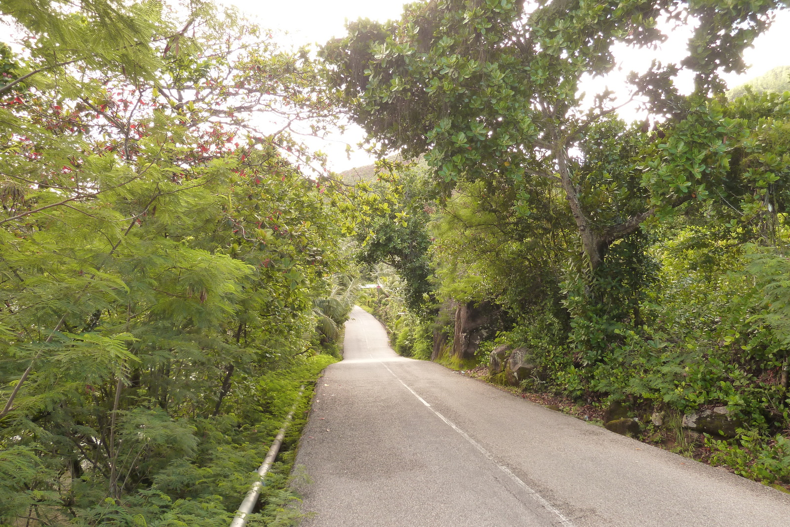 照片 塞舌尔(Seychelles) 波塞森湾(Anse Possession) 2011-10 29