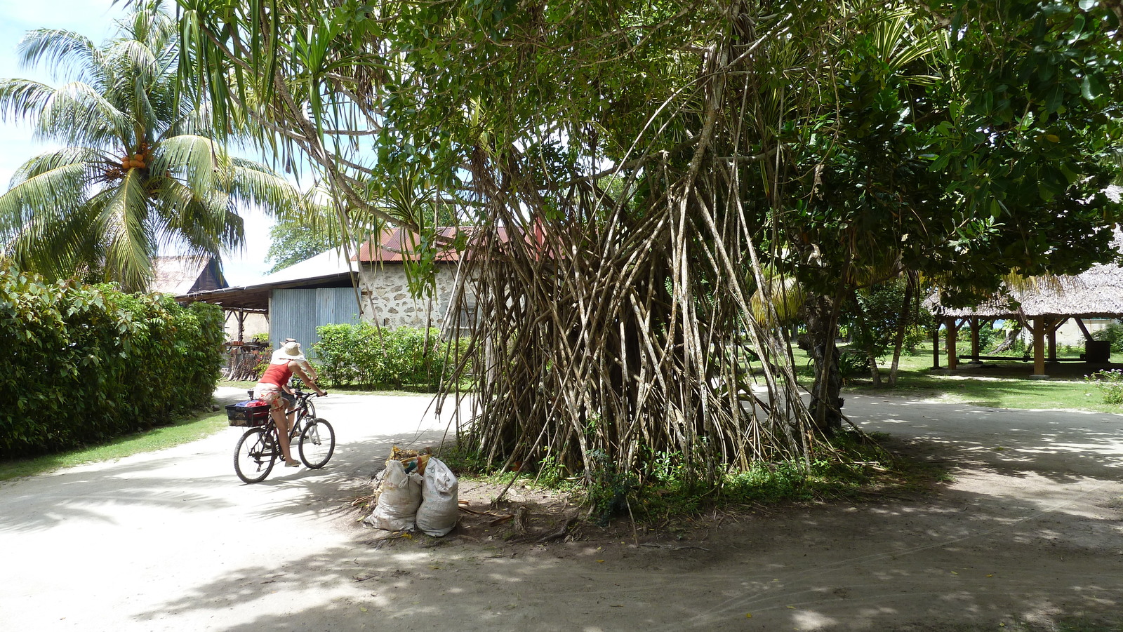 照片 塞舌尔(Seychelles) 拉迪格岛(La Digue) 2011-10 163