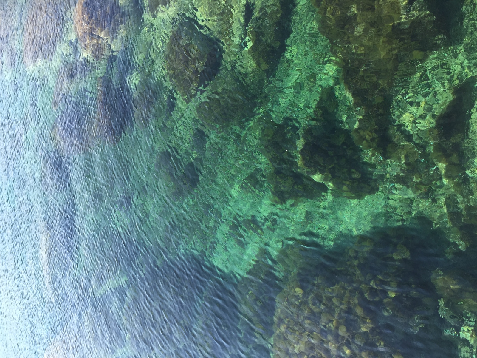 照片 法国(France) 科西嘉岛(Corsica) 斯帕诺角(Punta Spano) 2015-05 15