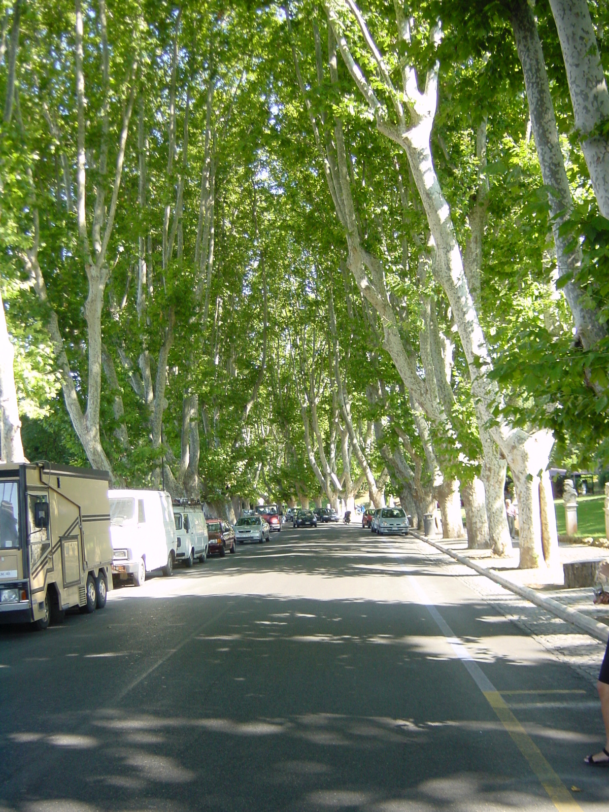 照片 意大利(Italy) 罗马(Rome) 2002-07 155