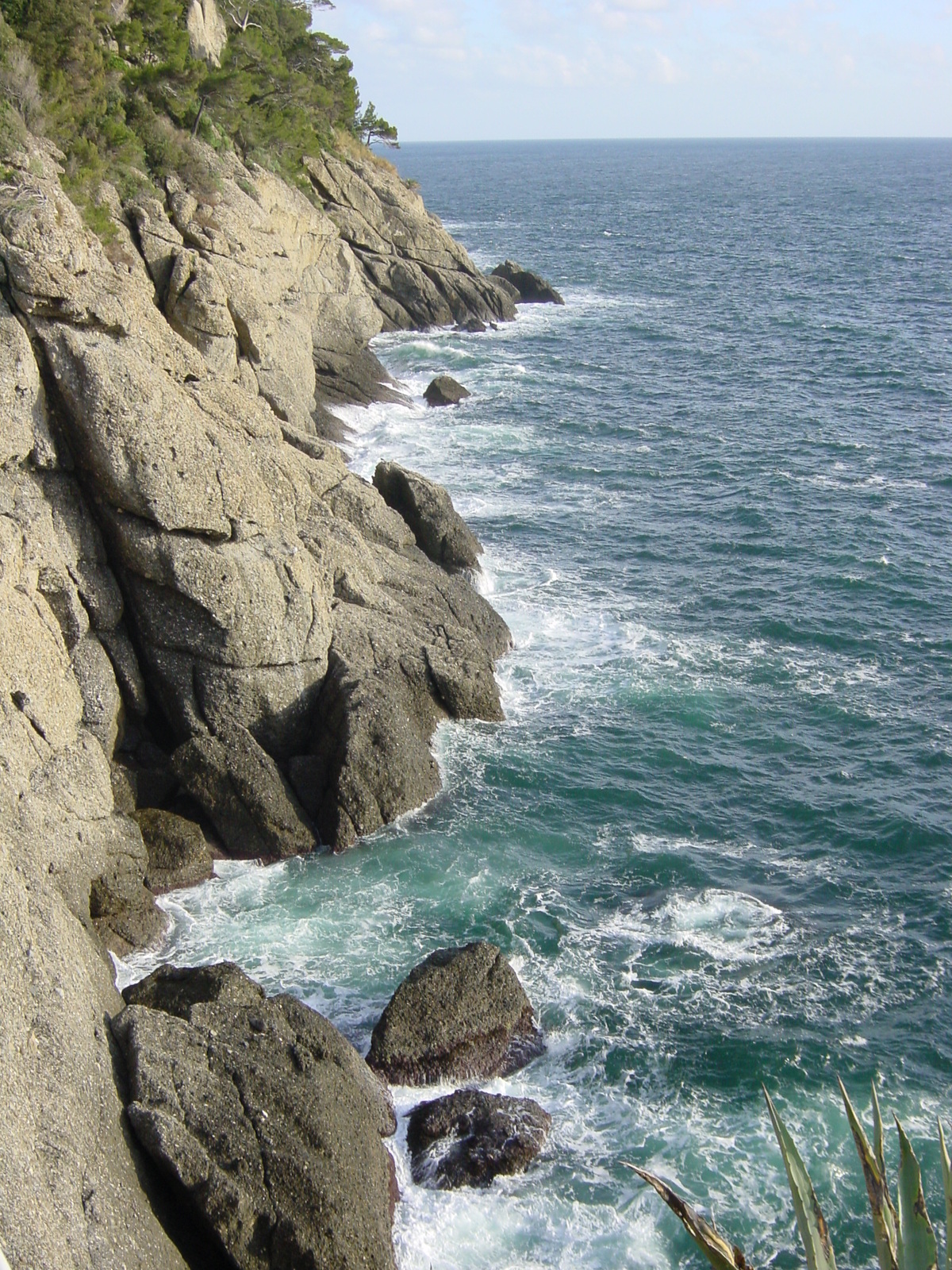 照片 意大利(Italy) 波托菲诺(Portofino) 2000-12 5