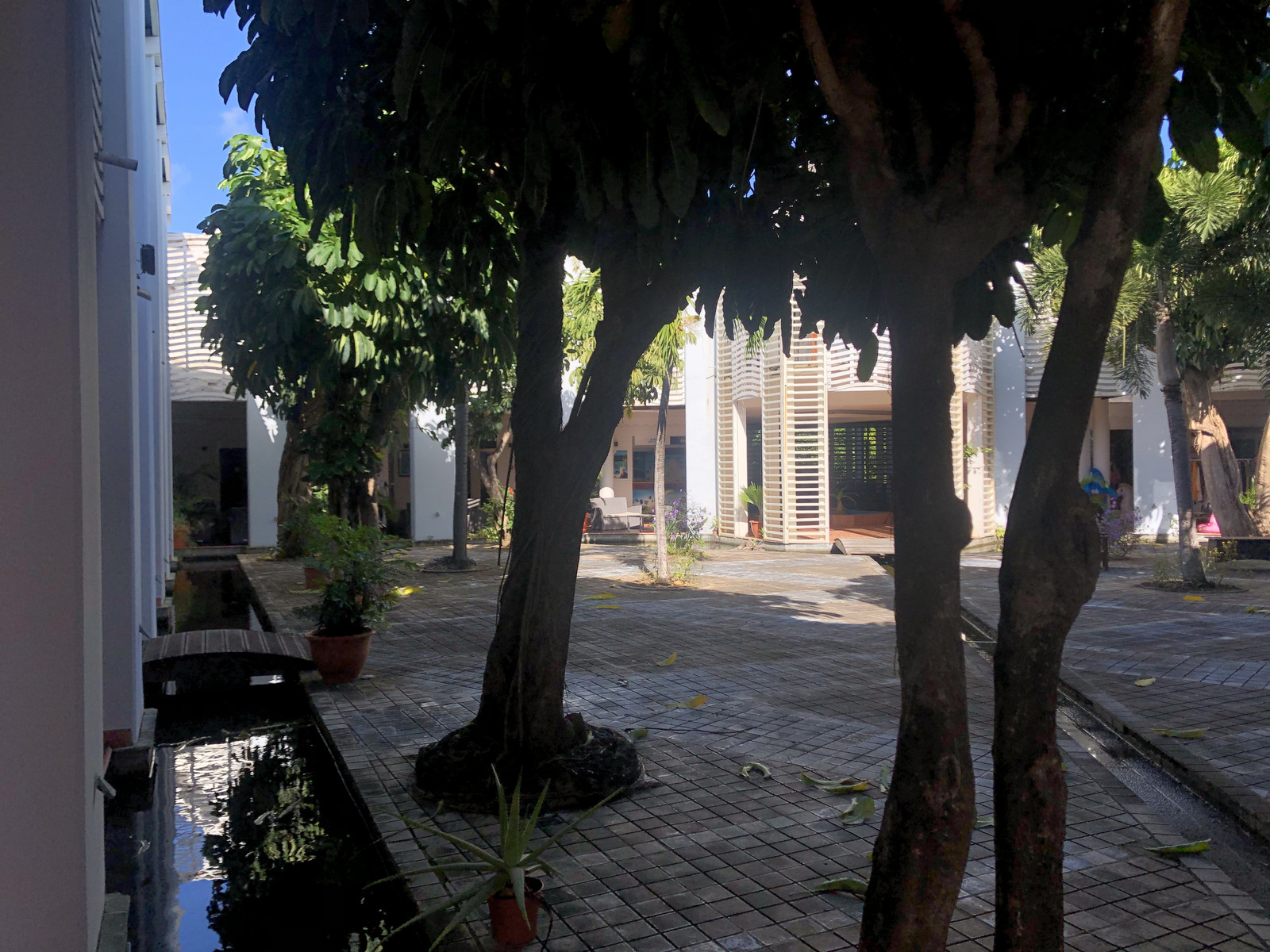 照片 瓜德罗普(Guadeloupe) 曼加瑙酒店(Le Manganao Hotel) 2021-02 91