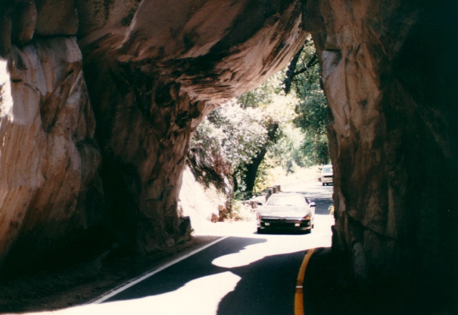照片 美国(United States) 优胜美地国家公园(Yosemite National Park) 1992-08 33