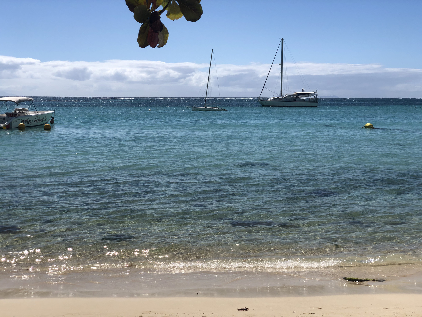 照片 瓜德罗普(Guadeloupe) 圣安妮(Sainte Anne) 2021-02 126