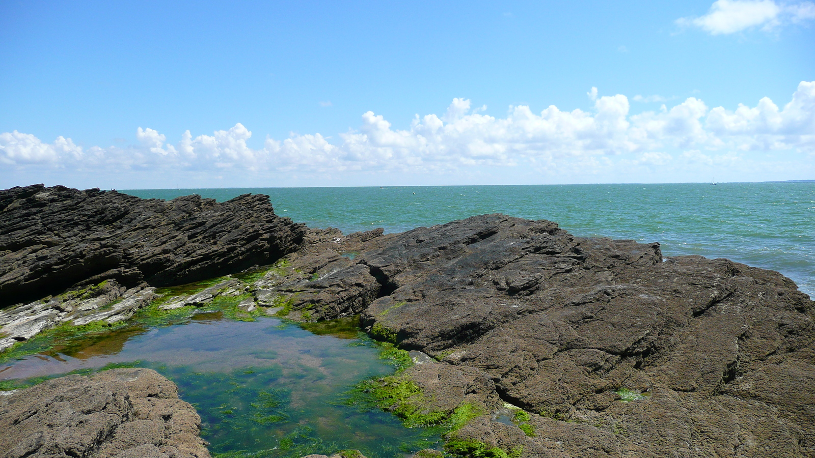 照片 法国(France) 波尔尼克(Pornic) 池塘海滩(Plage de l'etang) 2007-07 22