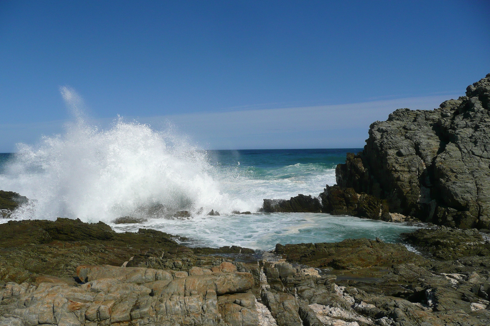 照片 南非(South Africa) 齐齐卡马国家公园(Tsitsikamma National Park) 2008-09 441