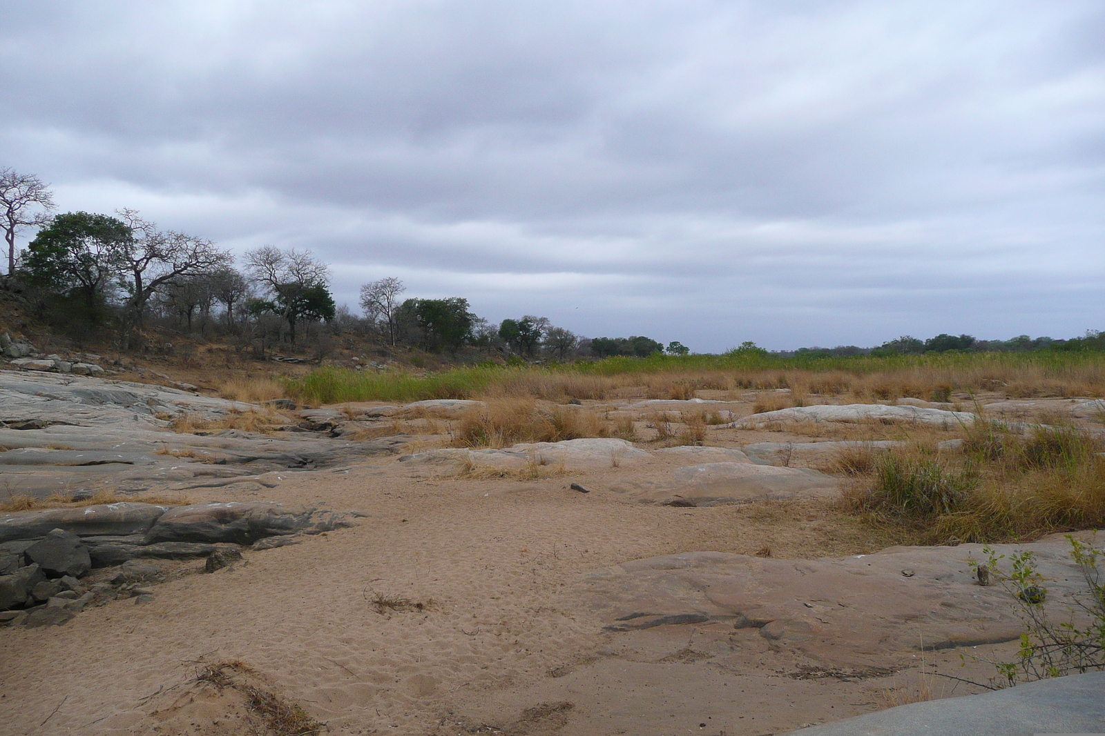 照片 南非(South Africa) 克鲁格国家公园(Kruger National Park) 萨布尔河(Sable River) 2008-09 19
