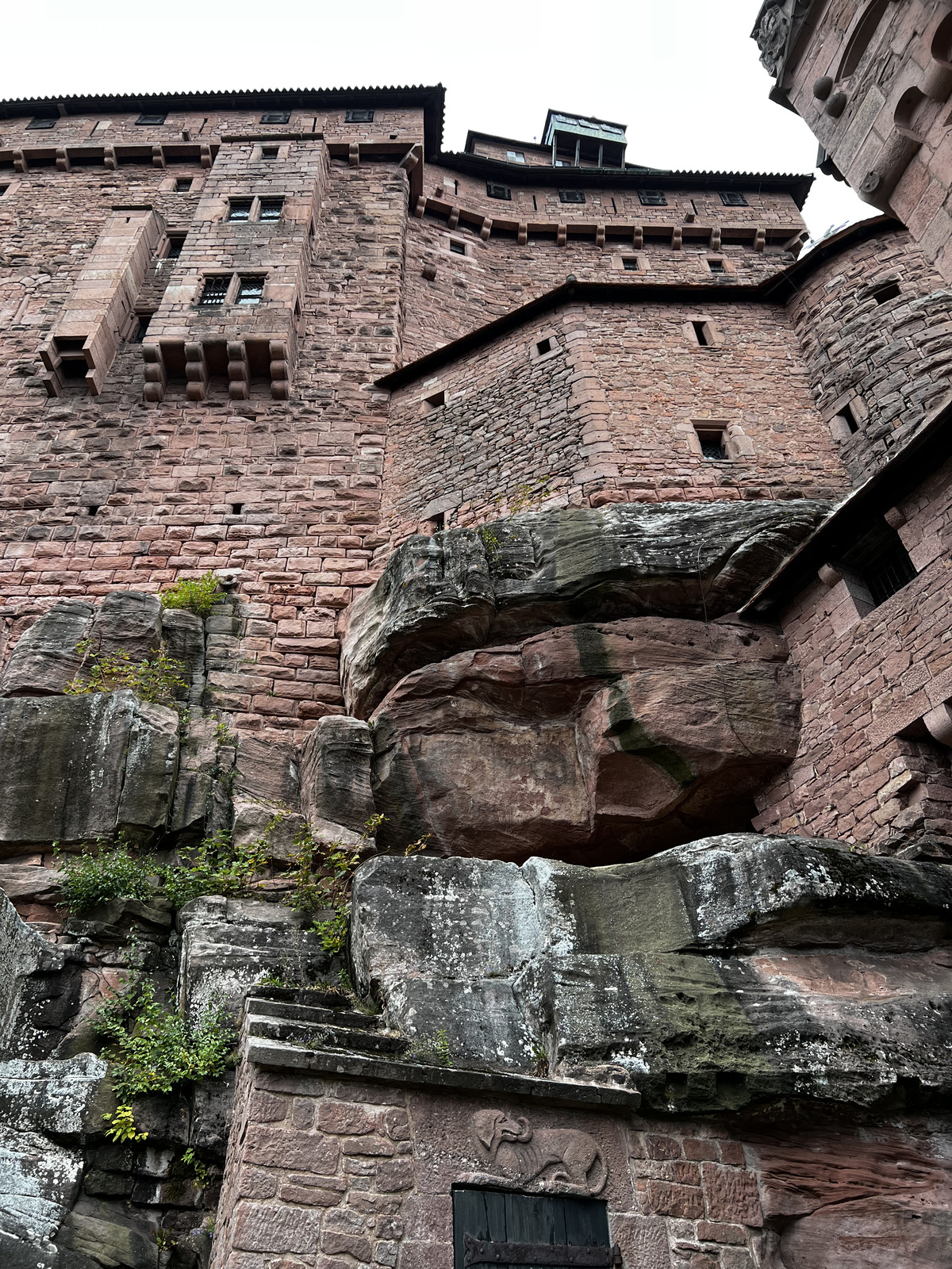 照片 法国(France) 上国王堡(Koenigsbourg Castle) 2023-10 133