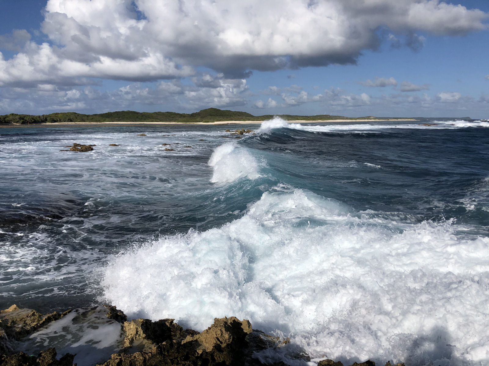 照片 瓜德罗普(Guadeloupe) 城堡角(Castle Point) 2021-02 343