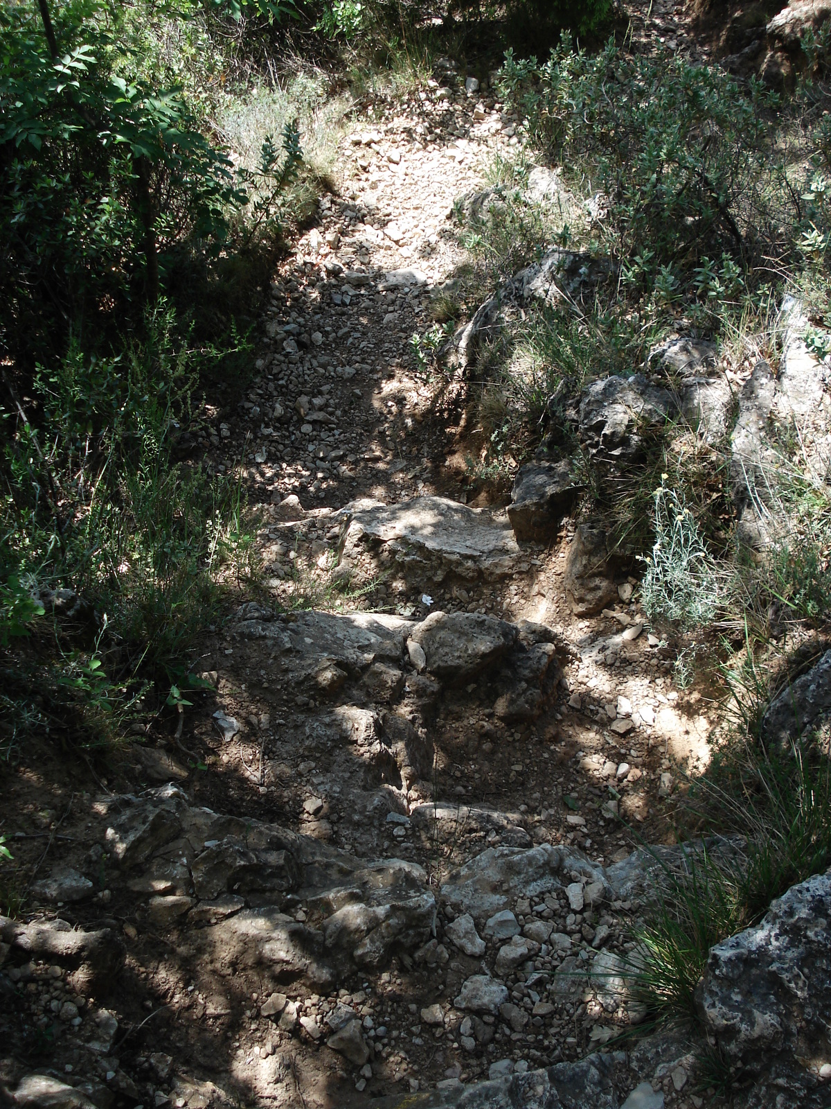 照片 法国(France) 旺斯(Vence) 巴乌山(Baou) 2006-06 30