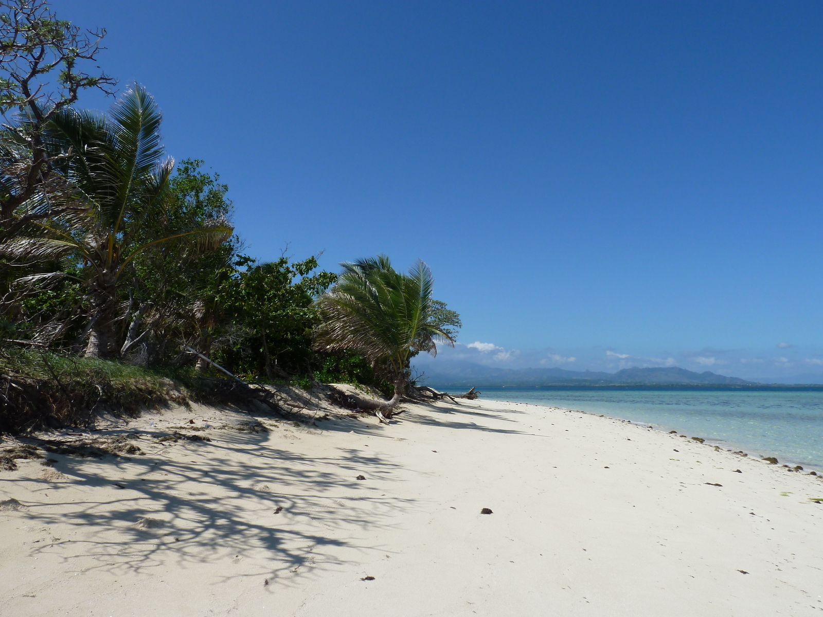照片 斐济(Fiji) 2010-05 15