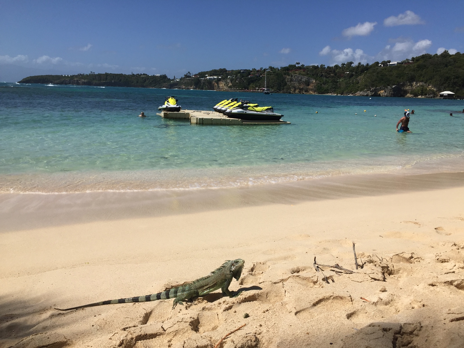 照片 瓜德罗普(Guadeloupe) 卡拉维尔海滩(La Caravelle Beach) 2021-02 75