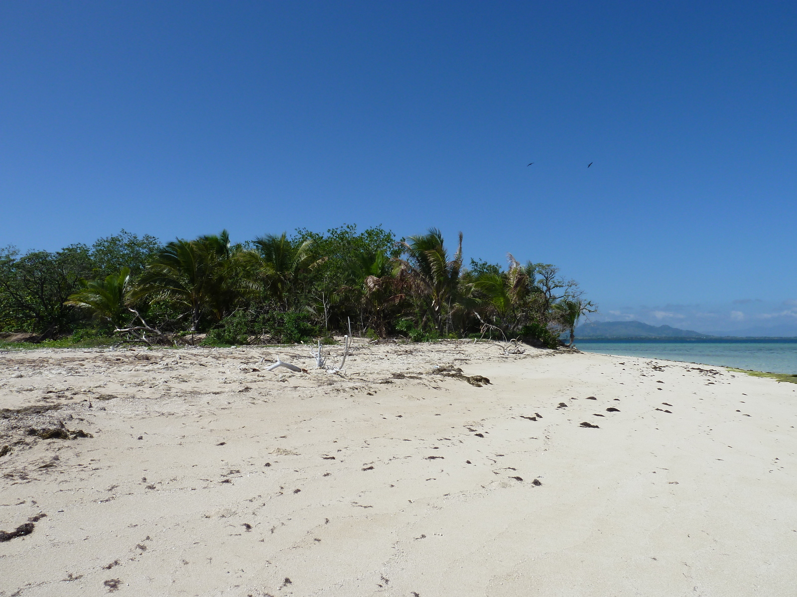 照片 斐济(Fiji) 库克船长游轮(Captain Cook Cruises) 2010-05 72