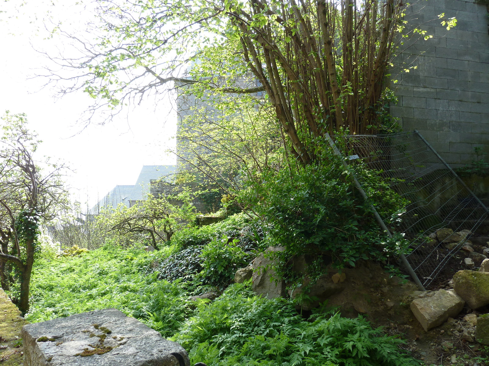 照片 法国(France) 圣米歇尔山(Mont St Michel) 2010-04 198