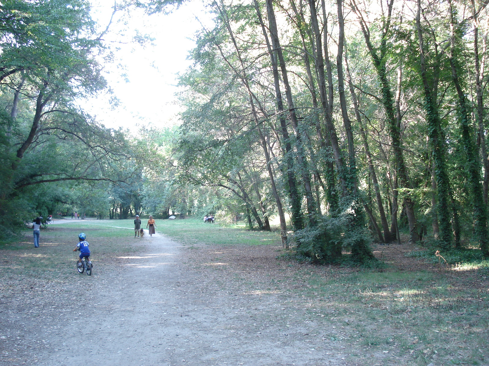 照片 法国(France) 维尔讷夫卢贝(Villeneuve Loubet) 沃格勒尼耶公园(Parc de Vaugrenier) 2006-09 8